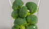 Broccoletti confezionati in busta trasparente con confezionatrice flow-pack Sifatech